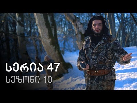 ჩემი ცოლის დაქალები - სერია 47 (სეზონი 10)